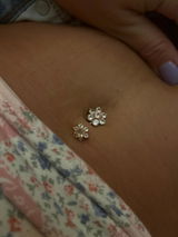Ashly review photo