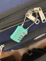 GS review photo
