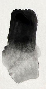 LC review photo