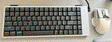 CJ review photo