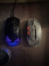 Zane review photo