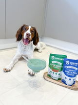 Lady lola of west sussex review photo