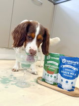 Lady lola of west sussex review photo