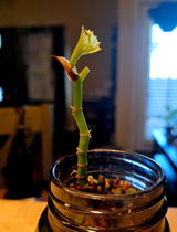 Clint H. review photo