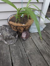 Donna Constantineau review photo