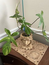 Glenna Boyette review photo