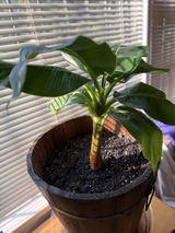Richard Jacobs review photo