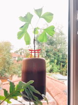 Rocketgal review photo