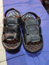 Cadu Nogueira review photo