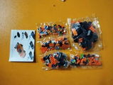Marcelo Bernardes review photo