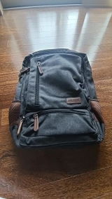 Carlos Tavares review photo
