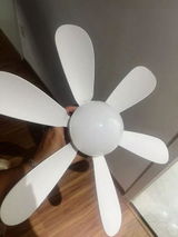 Vitor Hugo review photo