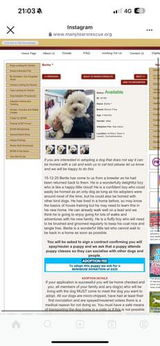 Lorna B. review photo