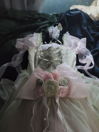 Customer photo for Light Pink/Green Bowknot Sweet Lolita JSK