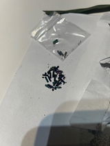 Emie review photo