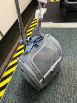 Anonymous review photo