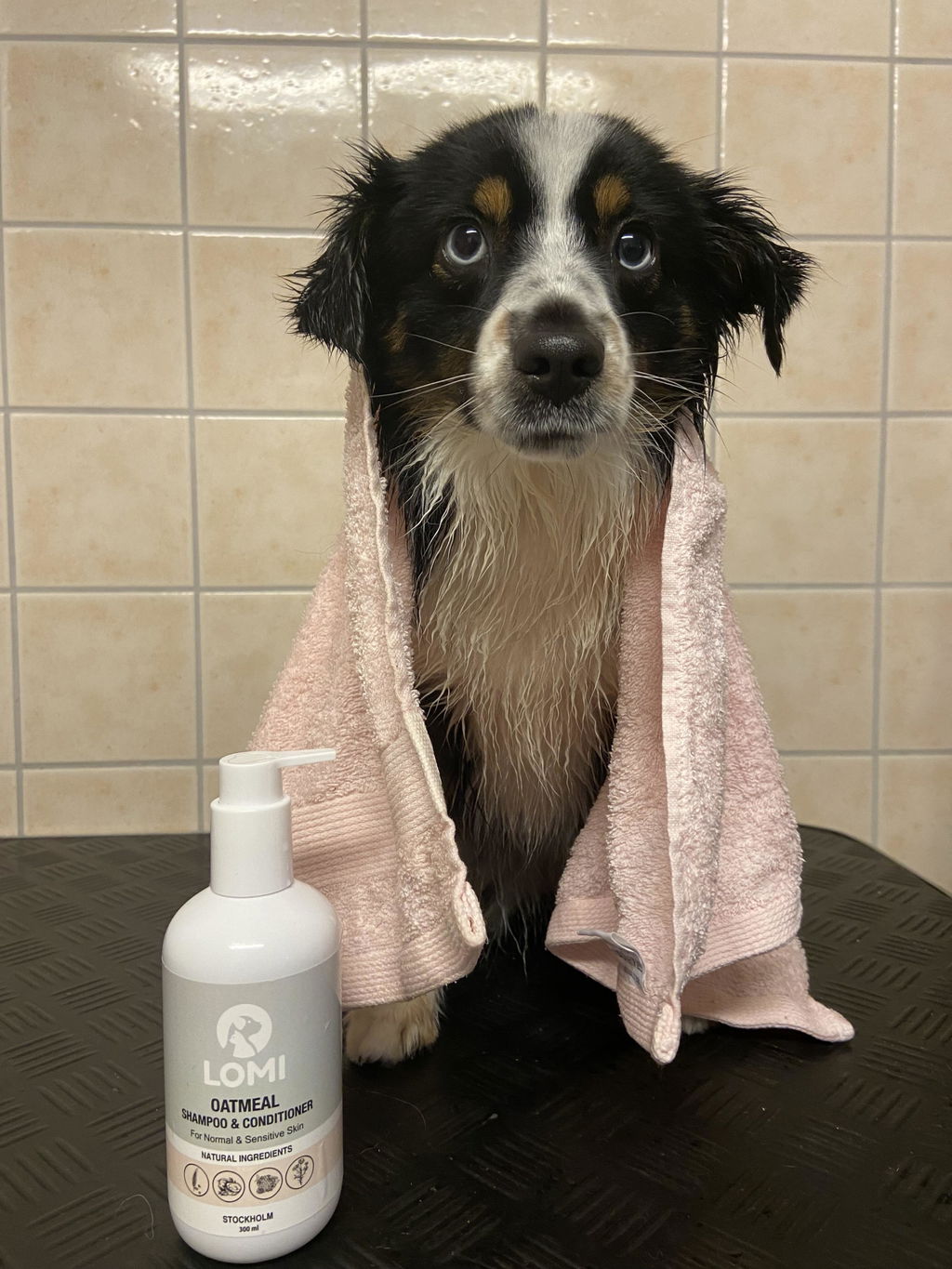 Customer photo of Oatmeal Dog Shampoo & Conditioner