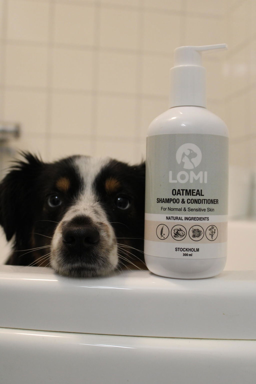 Customer photo of Oatmeal Dog Shampoo & Conditioner