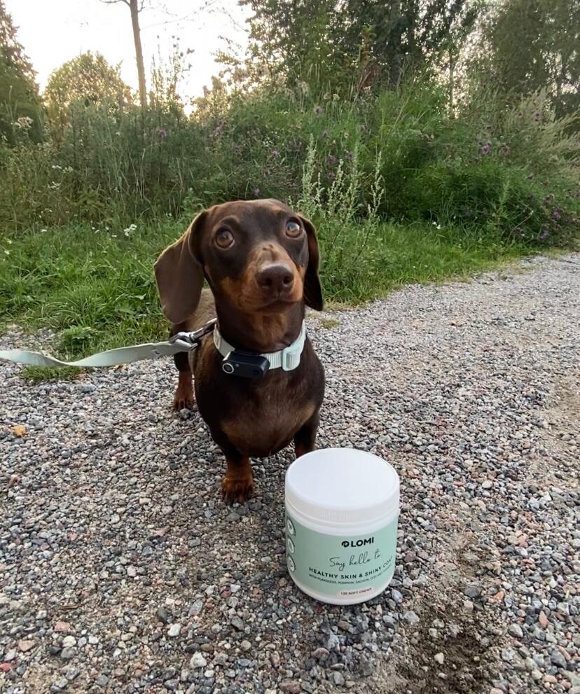 Customer photo of Vitamin Treats