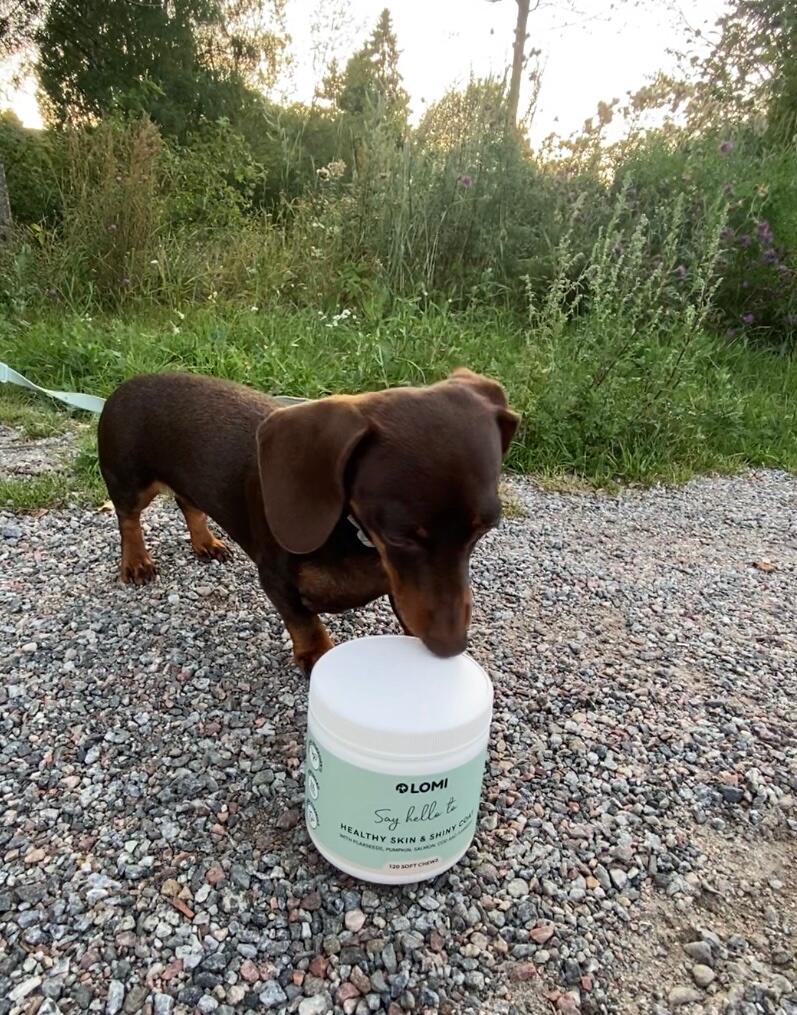 Customer photo of Vitamin Treats