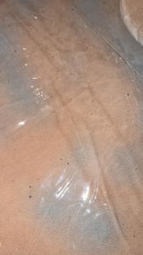 Lili review photo
