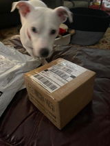 Jody Akers review photo
