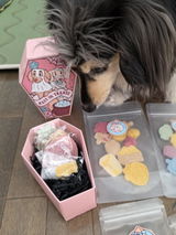 Jenn review photo