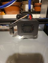 M B. review photo