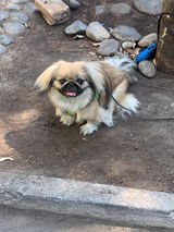 Carlos review photo