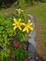 Lisa -. review photo