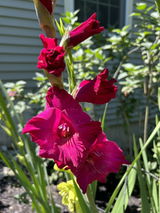 Christine H. review photo