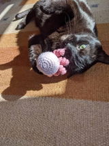 Etsy customer review photo