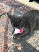 Etsy customer review photo