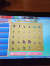 Kevin C. review photo