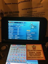 David Castro review photo