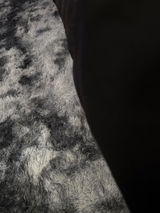 David K. review photo