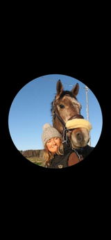 Birgitta review photo