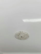 Maxwell C. review photo