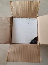 Remington O. review photo