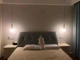 catherine review photo