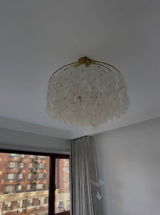 Araceli review photo