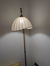 beno review photo