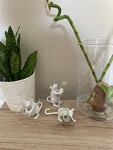 Nyah F. review photo