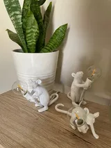 Nyah F. review photo