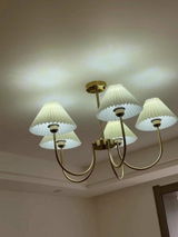 sara review photo