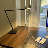 Hector review photo