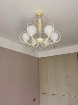 ,Disha T. review photo