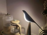 Jay review photo