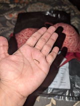 Anonymous review photo