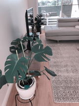 Tihan M. review photo
